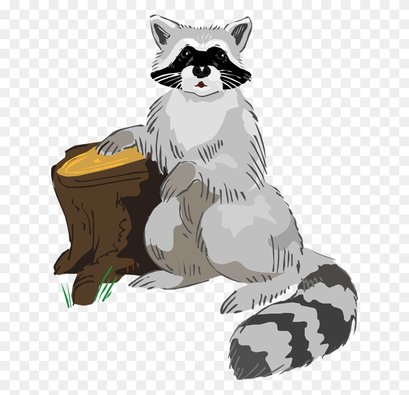 630x750 Free Raccoon Image Clipart Raccoon Clip Art Free, Indoors, Pet, Animal HD PNG Download
