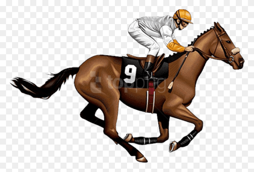 833x546 Бесплатные Изображения Скаковой Лошади, Вид Сбоку, Фон, Скаковая Лошадь, Человек, Человек, Конный Спорт Hd Png Скачать