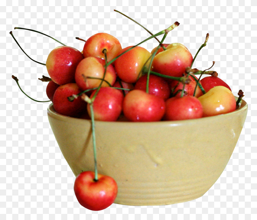 1337x1133 Free Rainier Cherry Cherry, Plant, Fruit, Food HD PNG Download