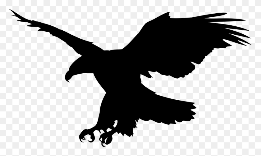 960x547 Free Raptor Bird Aguila Volando, Gray, World Of Warcraft HD PNG Download