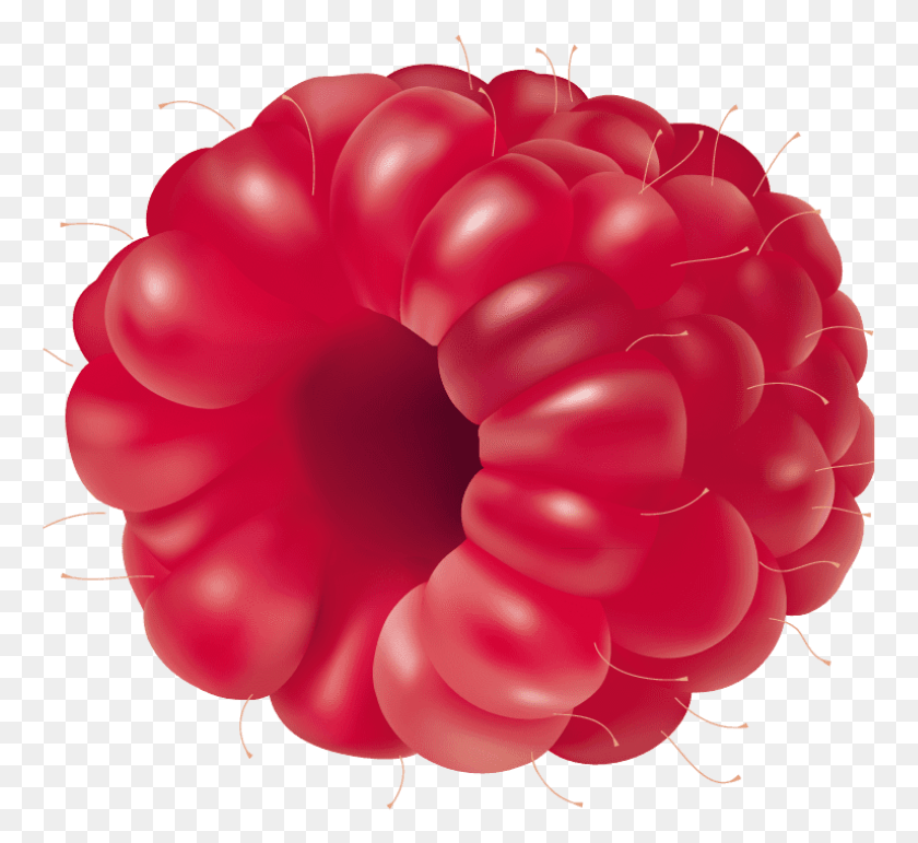 763x711 Free Raspberry Fruit Images Transparent Fruit Vector, Plant, Food, Rose HD PNG Download