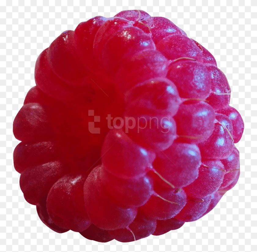 759x763 Free Frambuesa Imágenes Transparente Frambuesa .Png, Fruta, Planta, Alimentos Hd Png Descargar