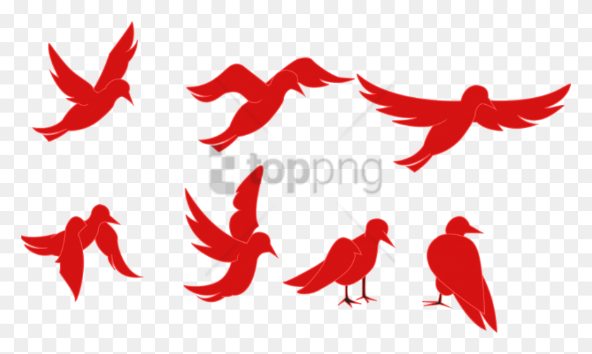 851x484 Png Изображение - Красная Птица Летит С Прозрачной Анимацией Хлопающих Крыльями Птицы.