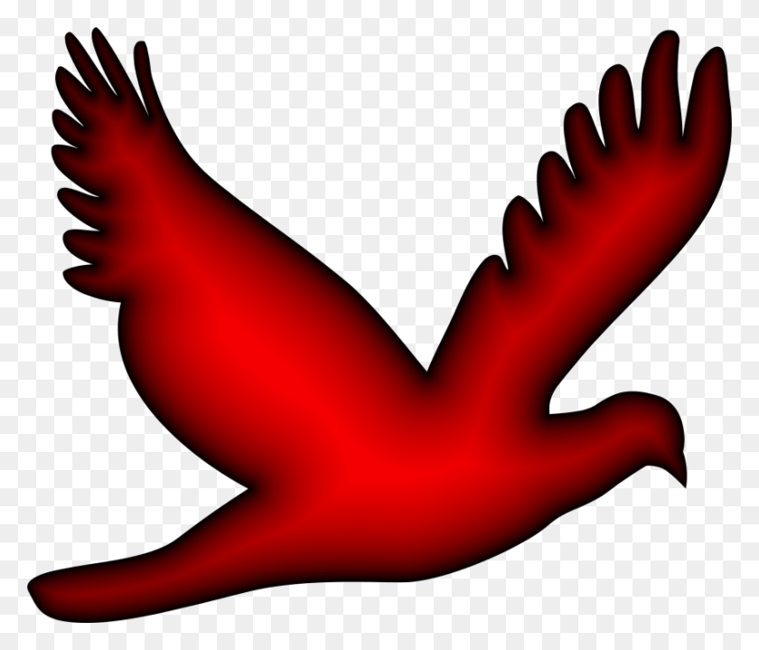 850x719 Free Red Birdflying Images Background Flying Bird Vector, Person, Human, Dragon HD PNG Download