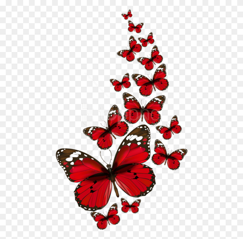 458x767 Png Красные Бабочки, Насекомые, Беспозвоночные Красные Бабочки Png