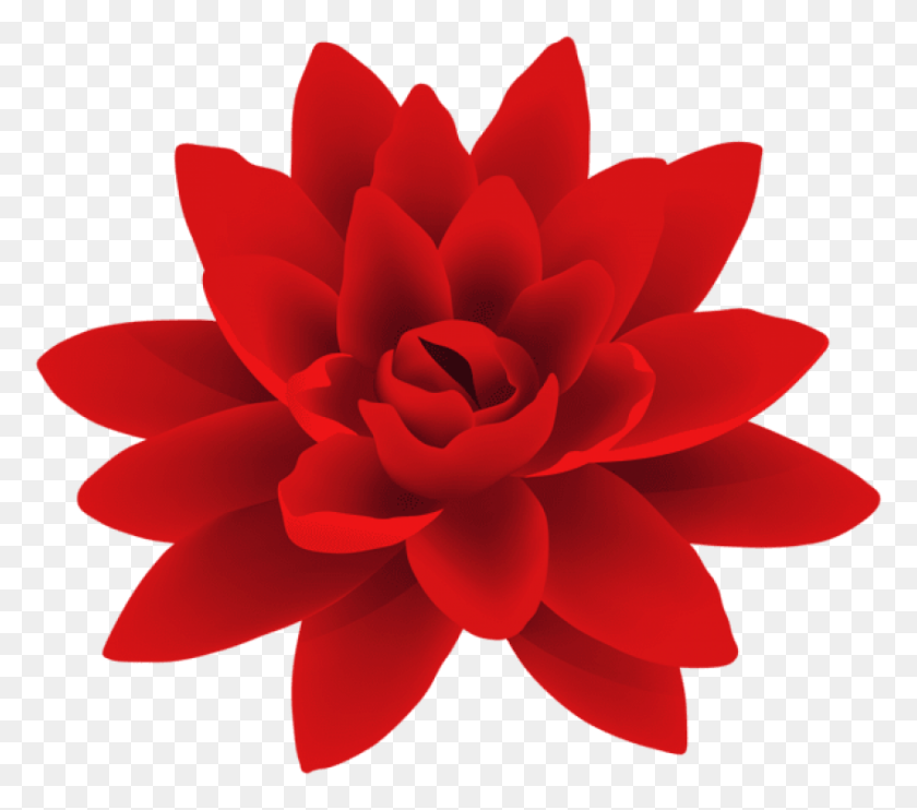 850x744 Free Red Flower Deco Images Background Flower, Dahlia, Plant, Blossom HD PNG Download