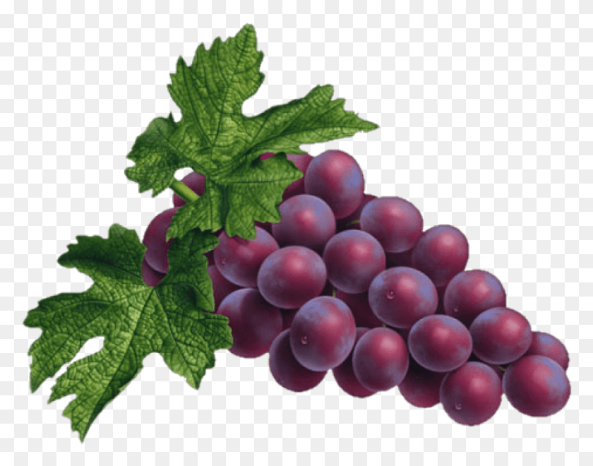 828x637 Descargar Png / Uvas Rojas Png