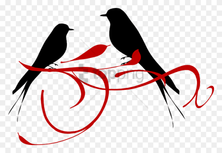 850x567 Free Red Love Birds Image With Transparent Love Birds Black And White, Blackbird, Bird, Animal HD PNG Download