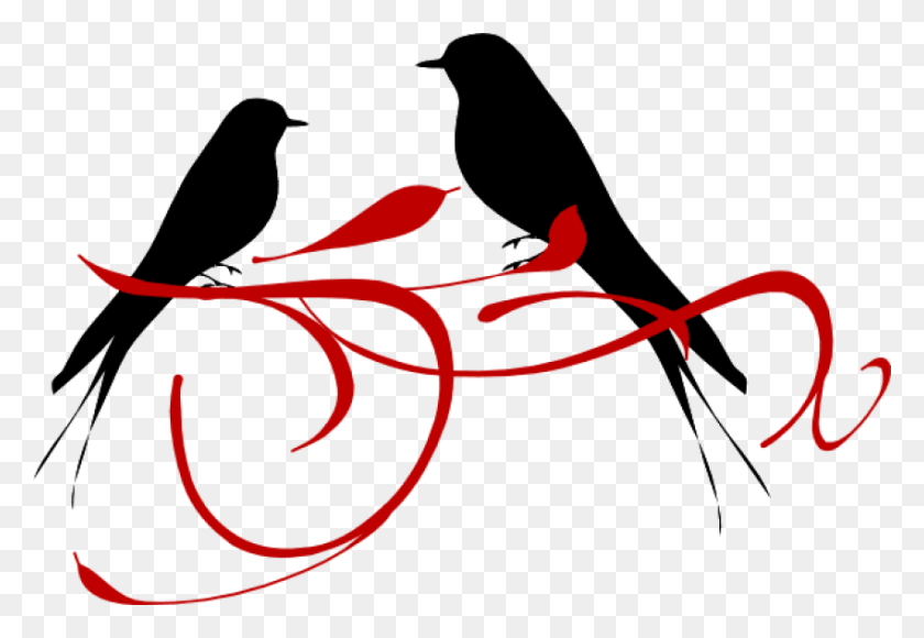 850x567 Free Red Love Birds Images Background Clipart Bird Image Black And White, Plant, Flower, Blossom HD PNG Download