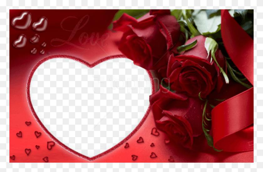 850x537 Free Red Roses And Heart Love Frame Background Love Photo Frame, Rose, Flower, Plant HD PNG Download