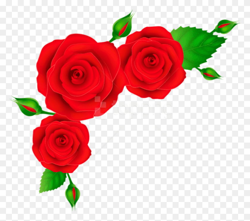 792x695 Free Red Roses Corner Transparent Clipart Rose Corner Border Cartoon, Flower, Plant, Blossom HD PNG Download