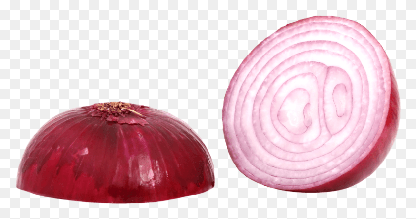 820x402 Free Red Sliced Onion Images Transparent Onion, Plant, Shallot, Vegetable HD PNG Download
