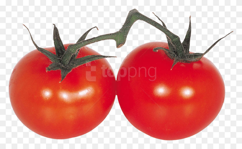850x501 Free Red Tomatoes Images Background Skachat Kartinki Pomidor, Plant, Vegetable, Food HD PNG Download