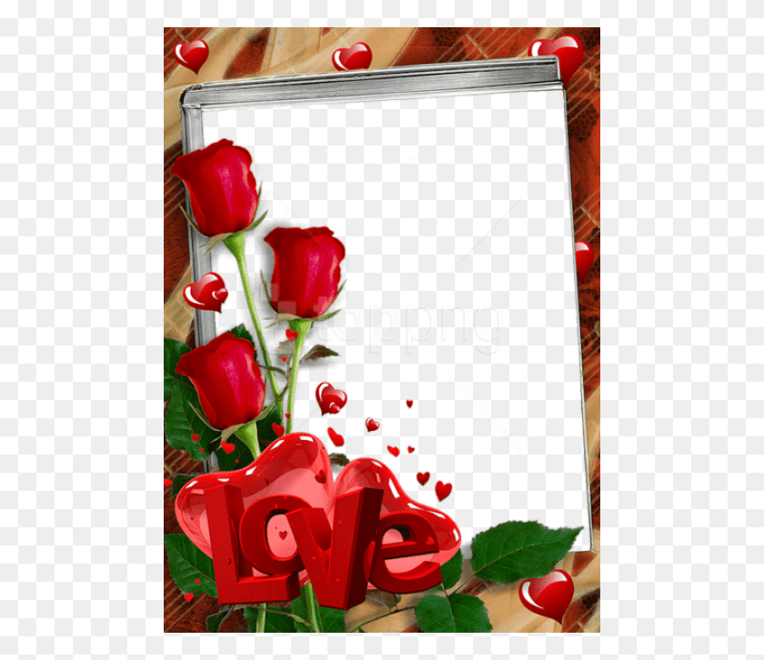 480x666 Free Red Transparent Frame With Roses And Love Love Flower Photo Frame, Plant, Rose, Blossom HD PNG Download