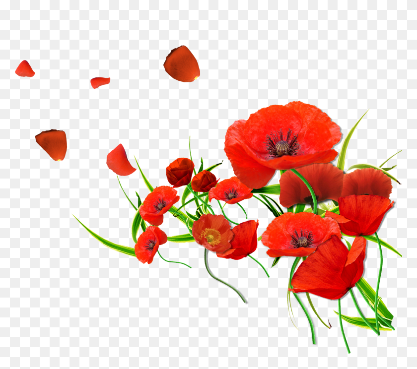 1836x1611 Free Render Renders Coquelicot Rouge Fleur Mak, Plant, Flower, Blossom HD PNG Download