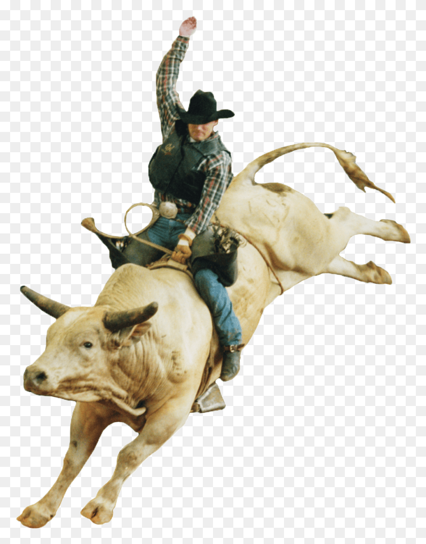 951x1234 Free Rodeo Clipart Bull Riding, Cow, Cattle, Mammal HD PNG Download