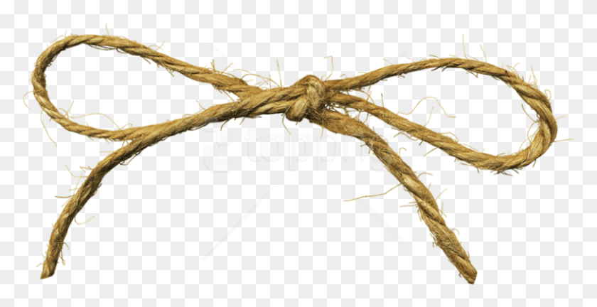 791x378 Free Rope Images Background Images String .png, Knot HD PNG Download