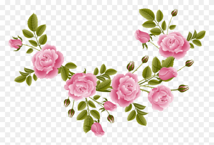 841x550 Free Rose Decoration Transparent Clipart Rose Decorations Transparent, Plant, Flower, Blossom HD PNG Download