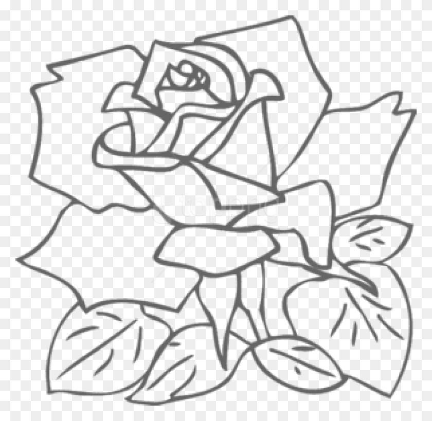 850x828 Free Rose Outline S Clipart Photo White Rose Outline, Stencil Hd Png Download