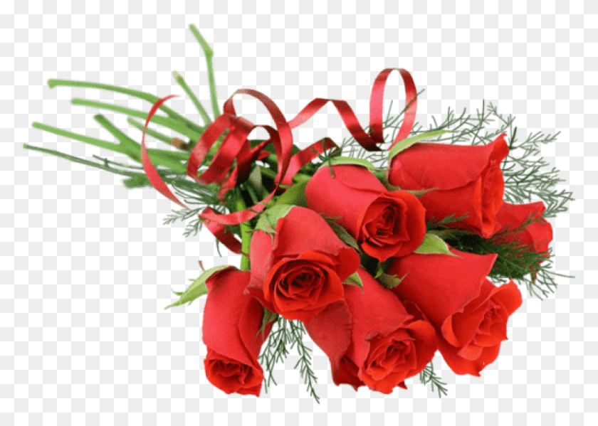 828x573 Free Rose Red Bouquet Images Background Rose Flower Bouquet, Plant, Flower, Blossom HD PNG Download