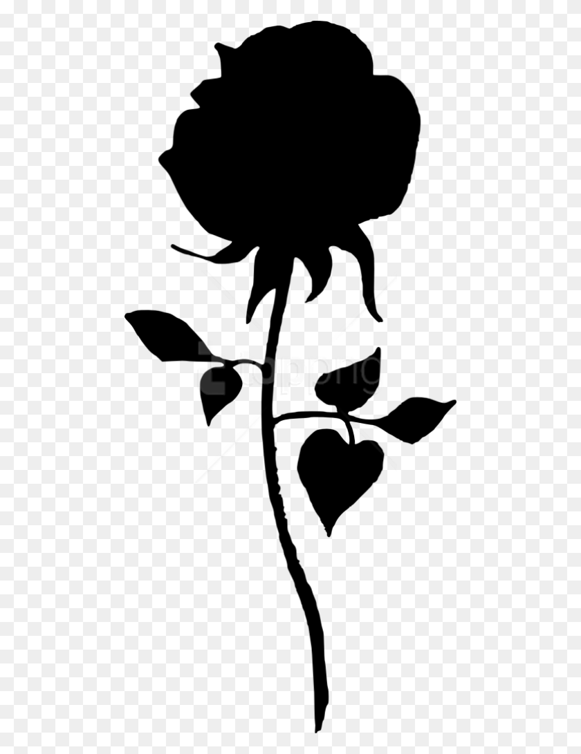 480x1031 Free Rose Silhouette Images Transparent Rose Silhouette, Stencil, Plant HD PNG Download