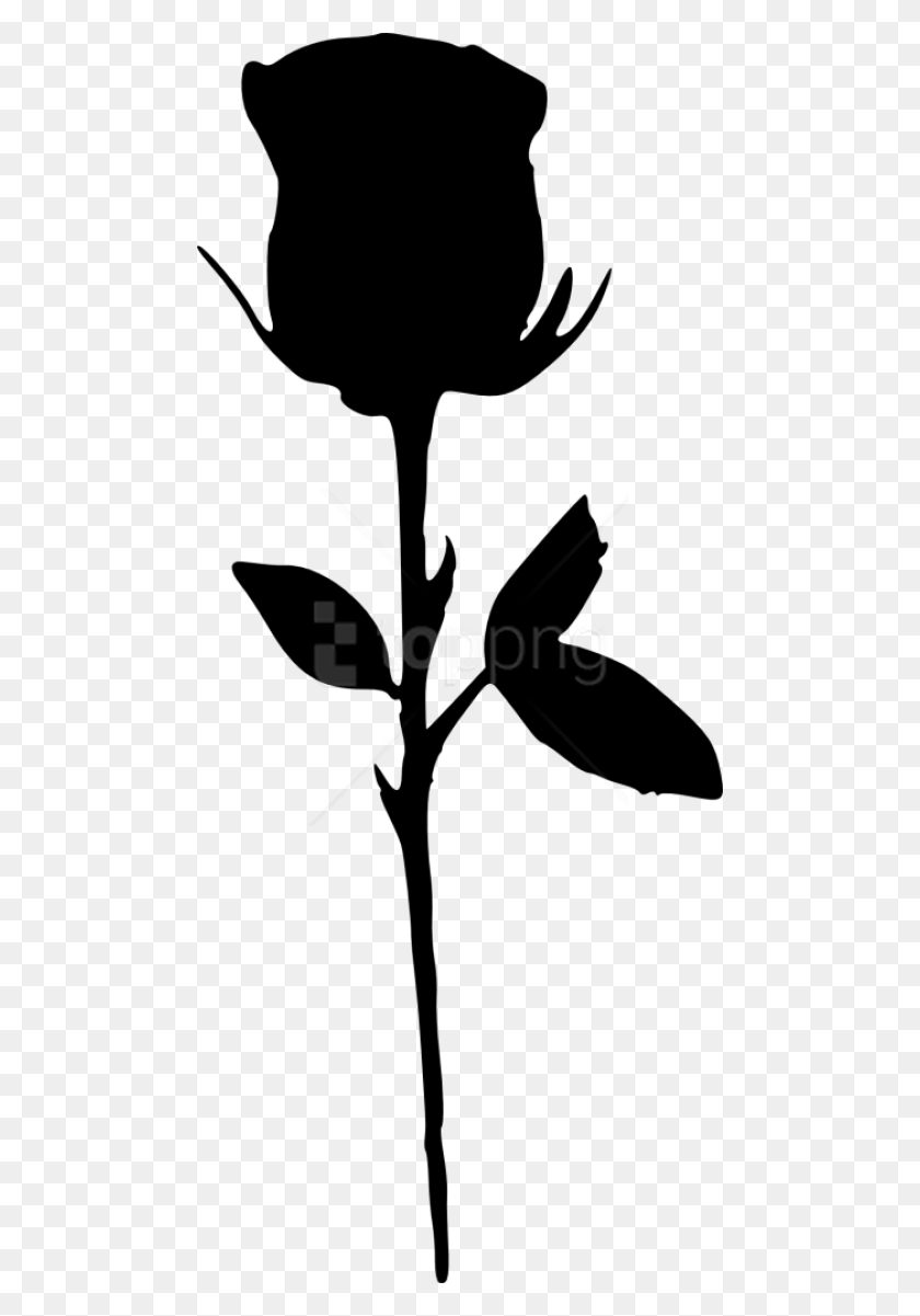 480x1141 Descargar Png / Silueta De Una Rosa Png