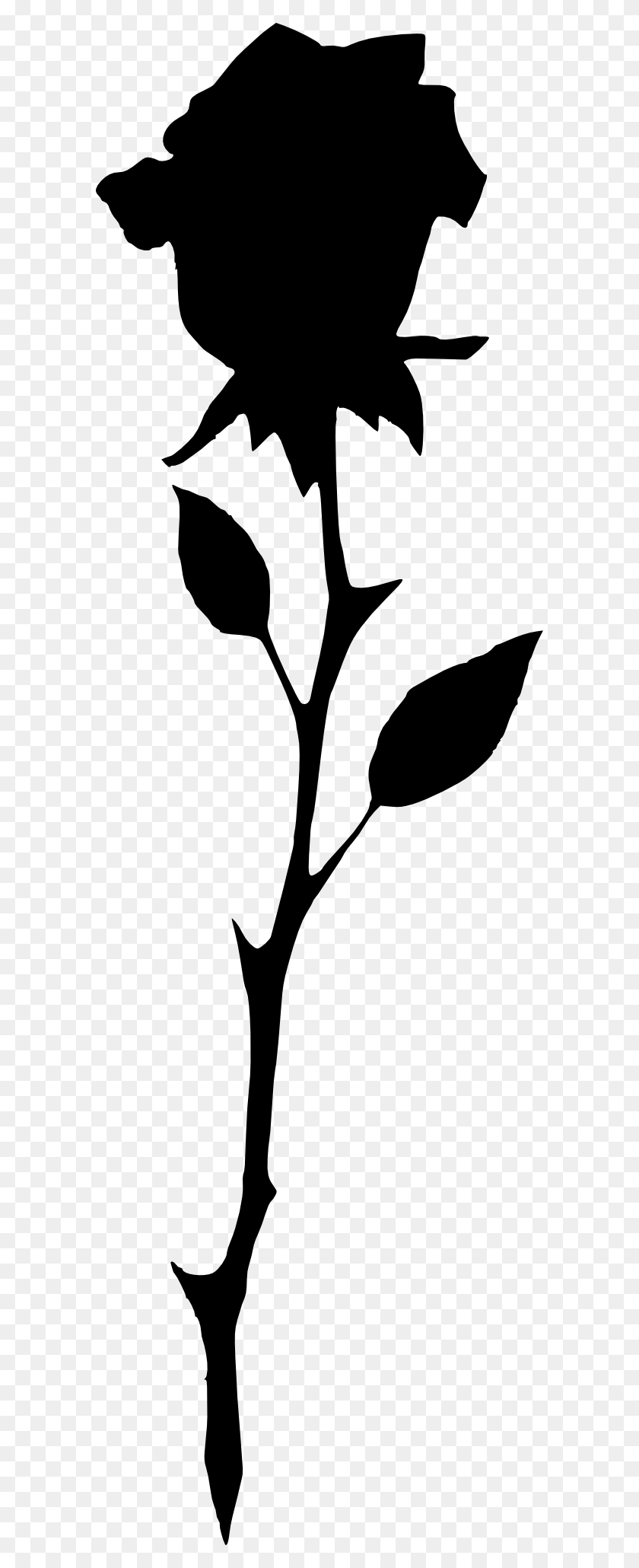 588x2000 Free Rose With Stem Silhouette, Flower, Plant, Blossom HD PNG Download