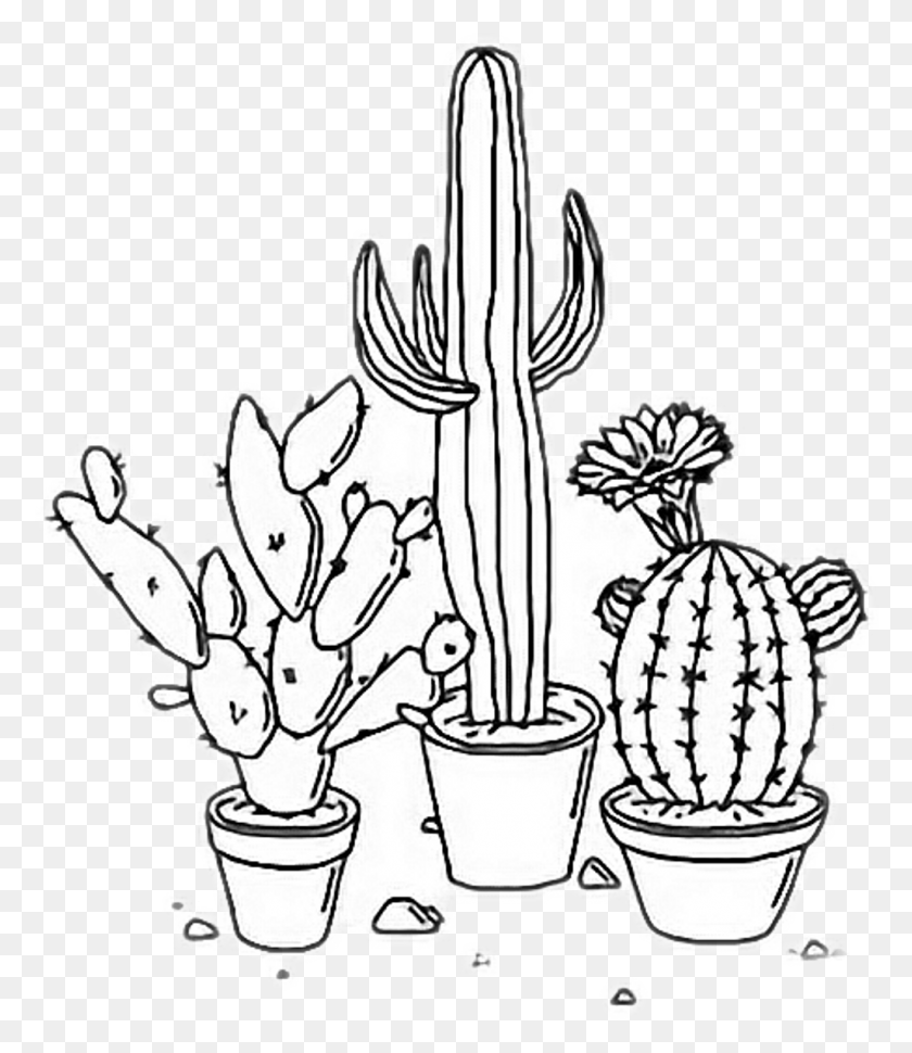 1024x1195 Descargar Gratis Triste Dibujos Estéticos Tumblr India S Cactus Dibujo Transparente, Planta Hd Png