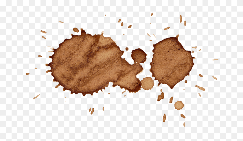 1765x969 Free Sand, Fungus, Stain, Leaf HD PNG Download