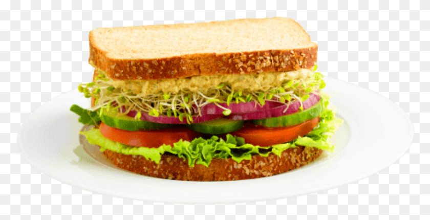 850x404 Free Sandwich Images Background Sandwich, Burger, Food, Meal HD PNG Download