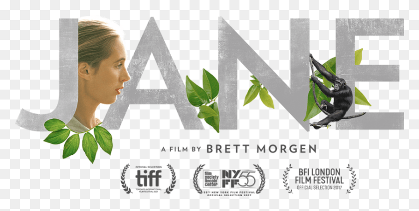 845x395 Free Screening Of Jane A National Geographic Film Documentary Jane Goodall Film, Poster, Person, Plant HD PNG Download