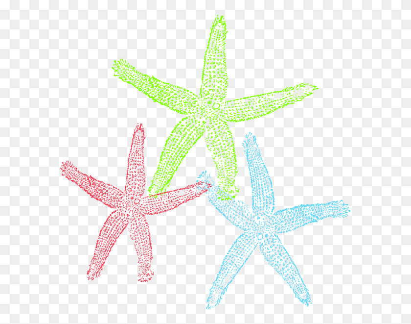 594x601 Free Set Of Three Colorful Starfish Clip Art Starfish, Star Symbol, Symbol, Sea Life HD PNG Download