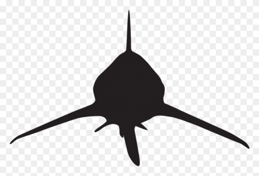 843x552 Free Shark Attack Silhouette Shark Attack Silhouette, Animal, Symbol HD PNG Download