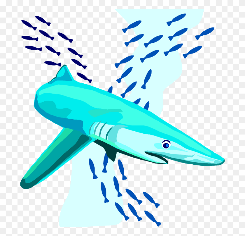 703x747 Descargar Png / Tiburones, Peces, Animales Hd Png