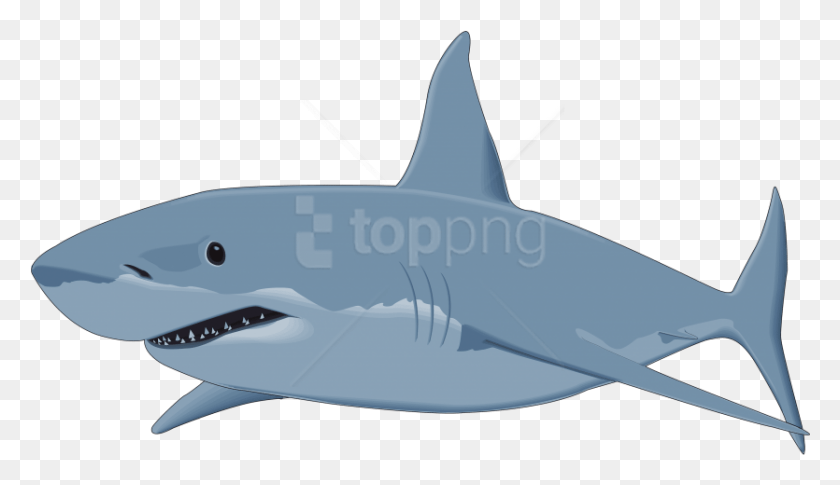 835x456 Free Shark Image Clipart Photo Transparent Background Shark Clipart, Sea Life, Fish, Animal HD PNG Download
