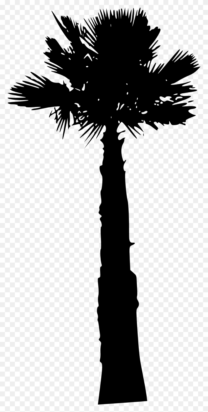 973x2000 Free Silhouette, Tree, Plant, Palm Tree HD PNG Download