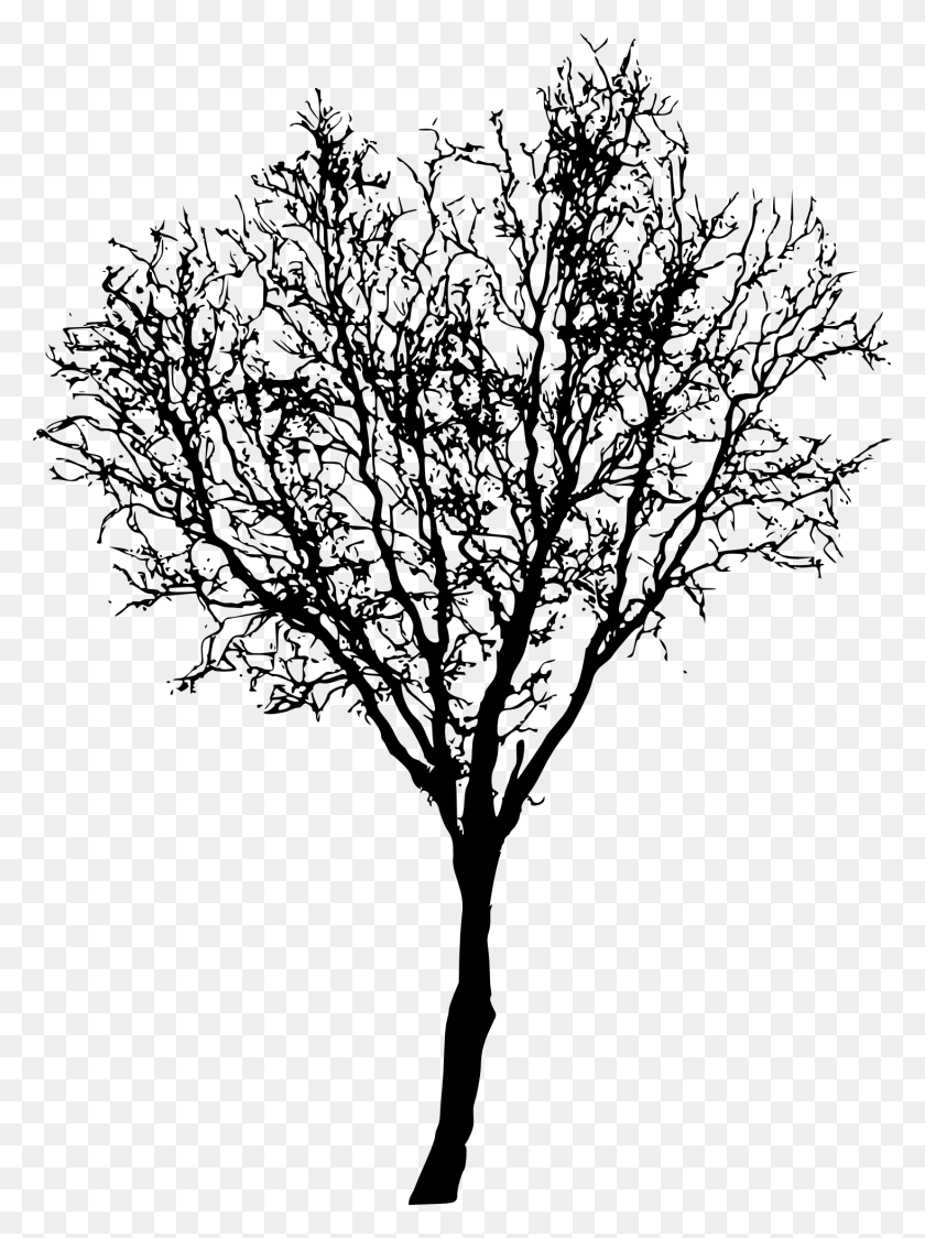 1466x2000 Descargar Png / Silueta De Árbol, Planta, Hoja, Plantilla Hd Png