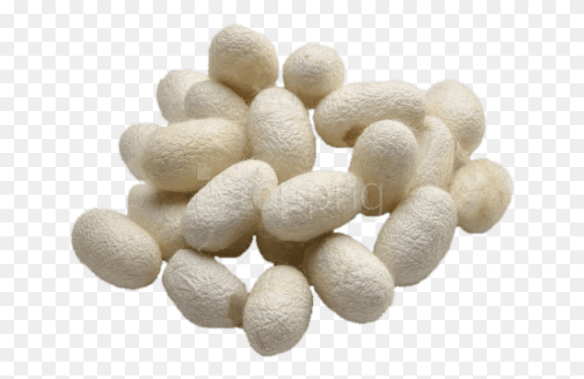 643x485 Free Silkworm Cocoons Images Background Baco Da Seta Cinesi Wikipedia, Plant, Fungus, Food HD PNG Download