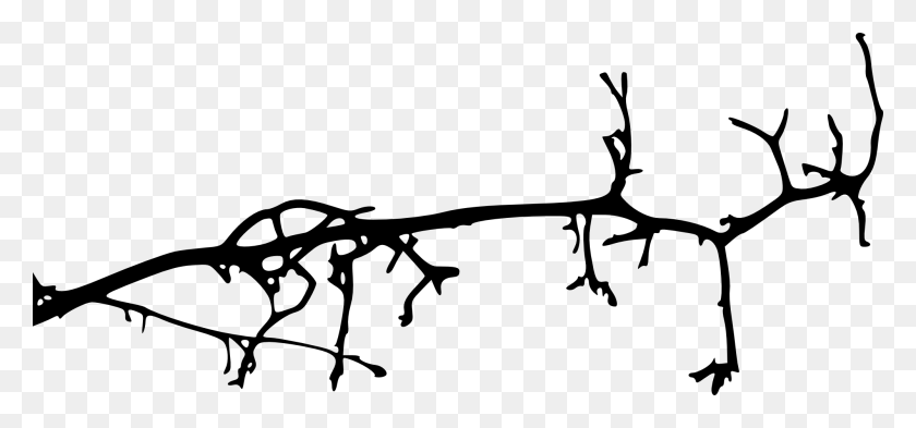 2000x854 Free Simple Tree Branch Silhouette, Animal, Wall, Insect HD PNG Download