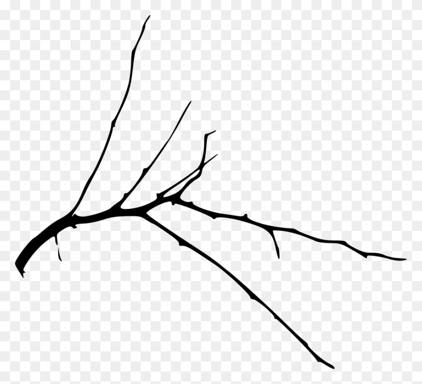 850x769 Бесплатная Простая Ветка Дерева Ветка, Лист, Растение, Зеленый Hd Png Скачать