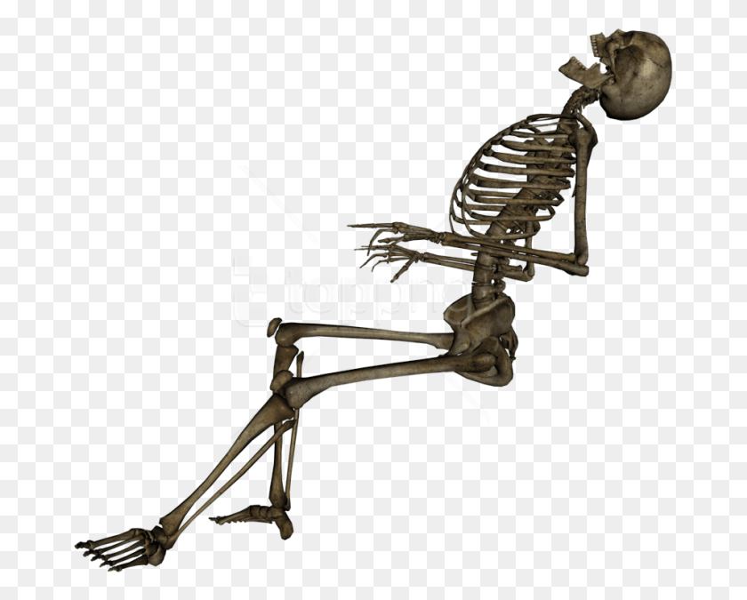 675x615 Free Skeleton Skull Images Background Skeleton, Bow HD PNG Download