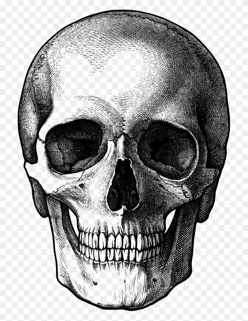 719x1024 Free Skulls Clipart Photo Images Skull Drawing, Gray, World Of Warcraft HD PNG Download
