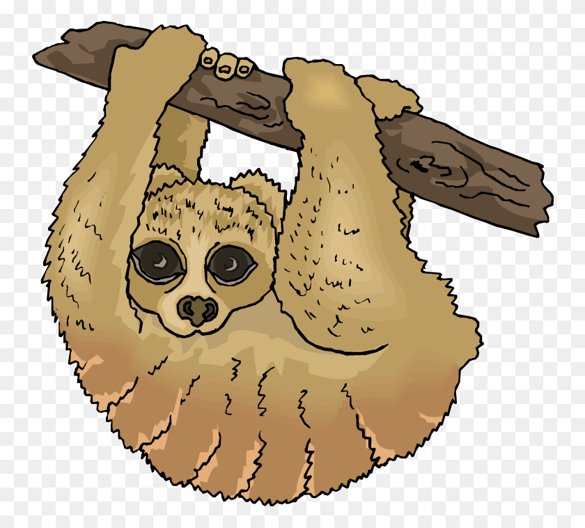 750x698 Free Sloth Clipart Two Toed Sloth Clipart, Wildlife, Animal, Mammal HD PNG Download