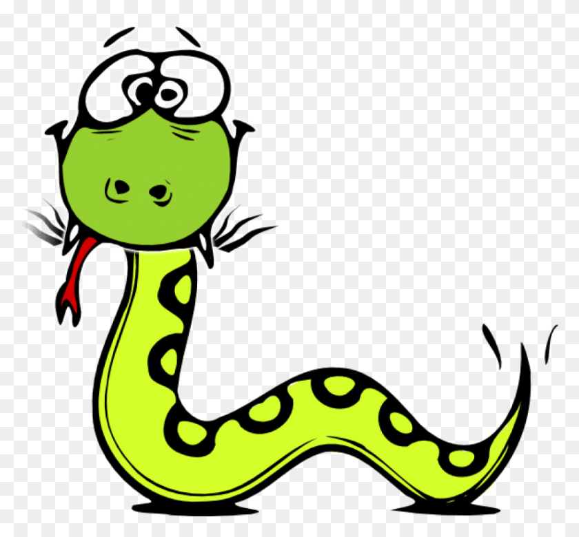 850x785 Free Snakeblack And White Images Background Cartoon Snake No Background, Animal, Amphibian, Wildlife HD PNG Download