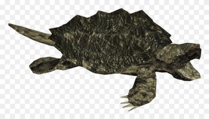 850x459 Free Snapping Turtle Images Background Alligator Snapping Turtle, Soil, Animal, Sea Life HD PNG Download