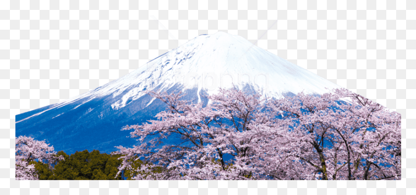 851x365 Free Snowy Mountain Images Background Fuji Mountain, Plant, Flower, Blossom HD PNG Download