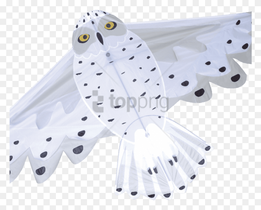 850x671 Free Snowy Owl Image With Transparent Background Snowy Owl Kite, Animal, Bird HD PNG Download