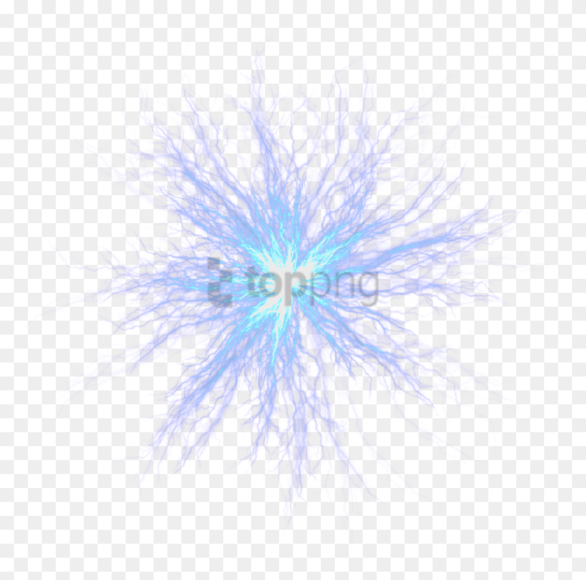 850x842 Free Sparkle Effect Images Background Chlorophyta, Purple, Flower, Plant HD PNG Download
