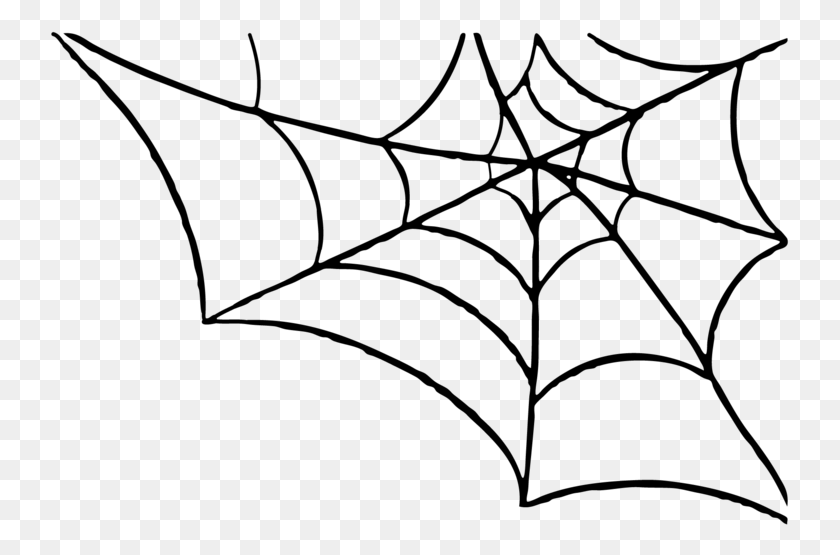 739x495 Free Spider Transparent Background Halloween Spider Web, Gray, World Of Warcraft HD PNG Download