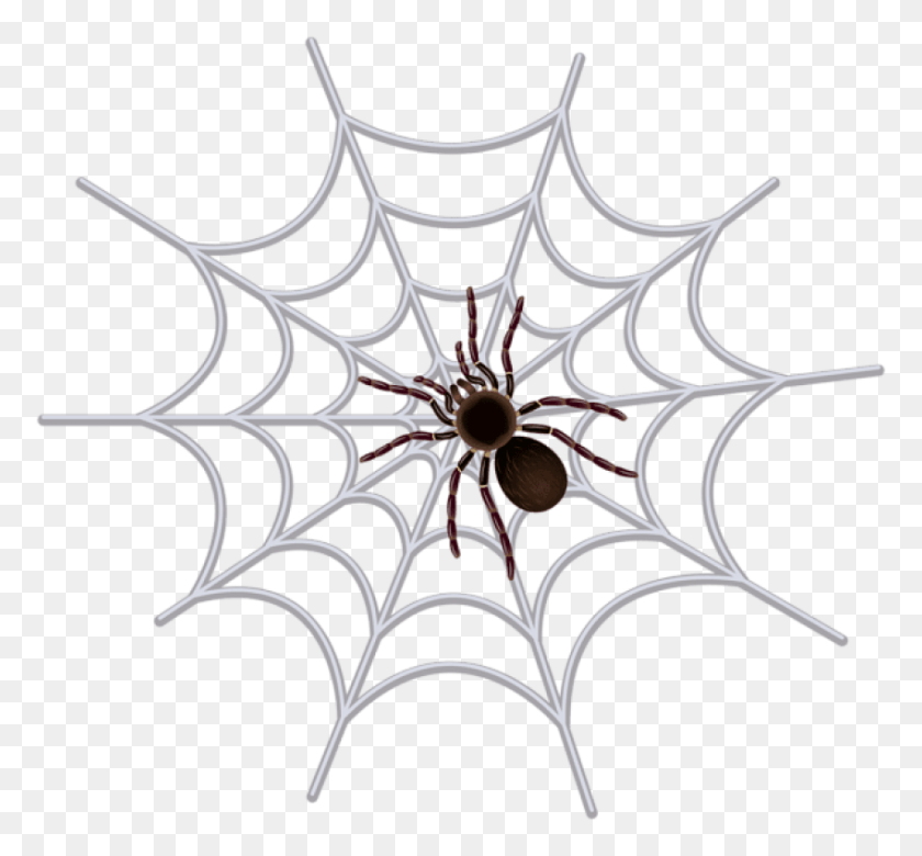 850x785 Free Spider Web Transparent Images Transparent Spider Web, Chandelier, Lamp HD PNG Download